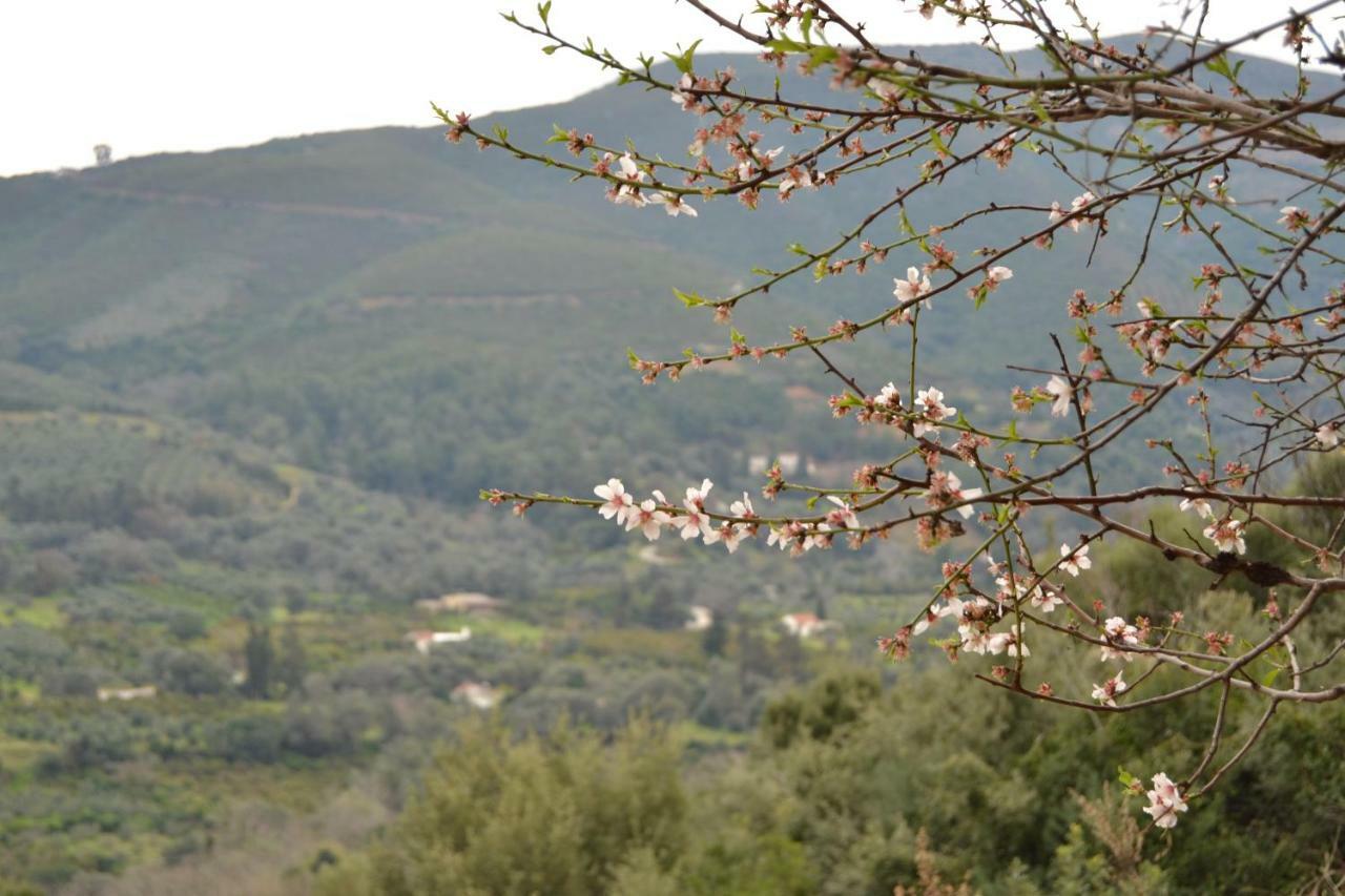 Augusta Country House Ντερές Εξωτερικό φωτογραφία